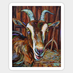 Dairy Goat in a Barn by Robert Phelps Sticker